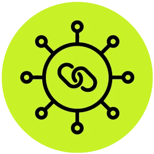 Link Building & Outreach
